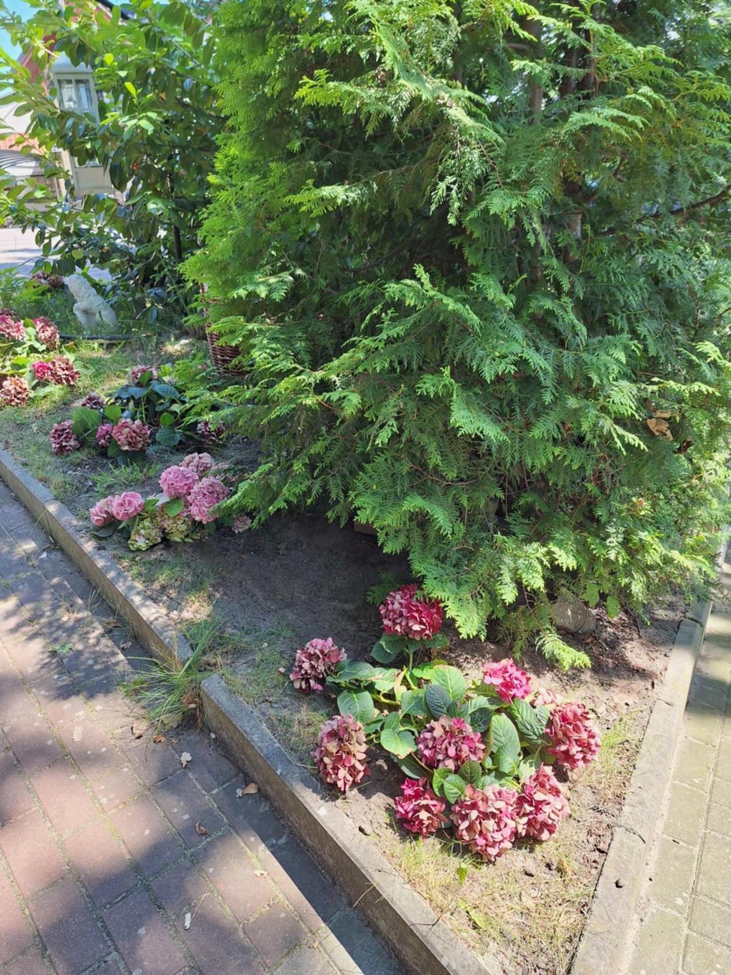 Domek Letniskowy 3 Os Pod Bukiem Miedzyzdroje Exteriör bild